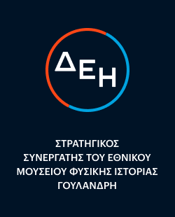 ΔΕΗ logo