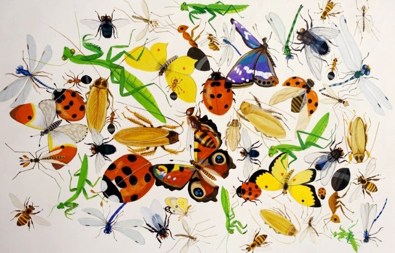 Α' Δημοτικού, Β' Δημοτικού