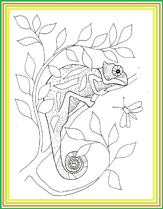 e-COLORING: PAINTING THE ANIMALS OF THE MUSEUM – Goulandris Natural History  Museum