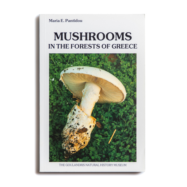 Mushrooms in the Forests of Greece