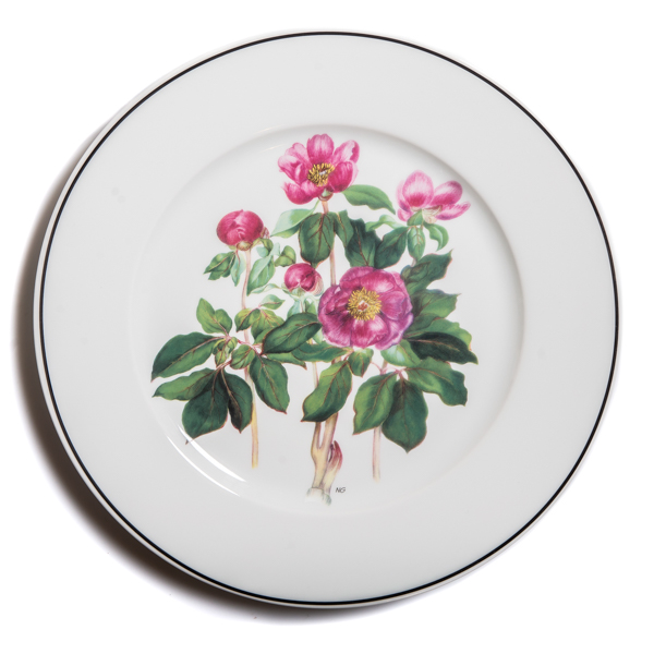 Sous plat - σχέδιο Ν. Γουλανδρή 'Paeonia corsica' (διαμ. 30εκ)