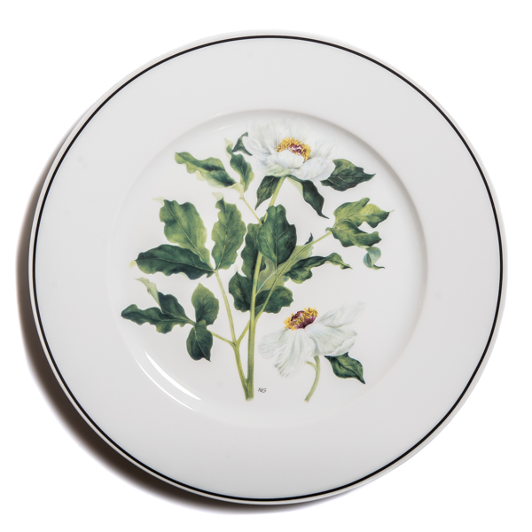 Sous plat - σχέδιο Ν. Γουλανδρή 'Paeonia mascula subsp. hellenica' (διαμ. 30εκ)