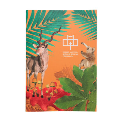 Τετράδιο Εθνικού Μουσείου Φυσικής Ιστορίας Γουλανδρή -Κοάλα