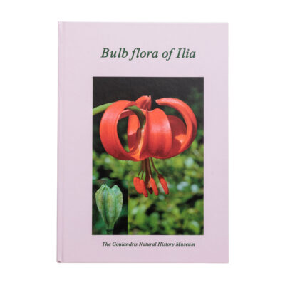 Bulb flora of ilia